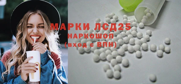 индика Арсеньев