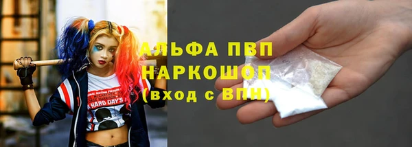 индика Арсеньев
