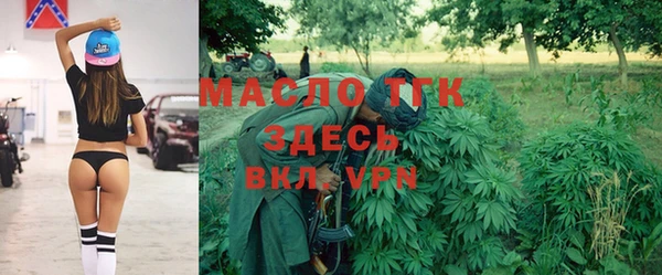 индика Арсеньев