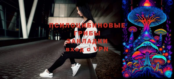 apvp Аркадак