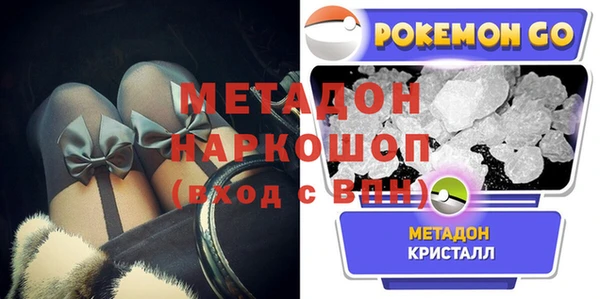индика Арсеньев