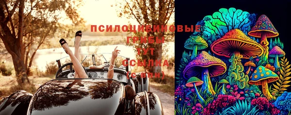 тгк Армянск