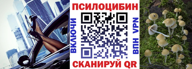 kraken   Белоозёрский  Псилоцибиновые грибы Psilocybe 